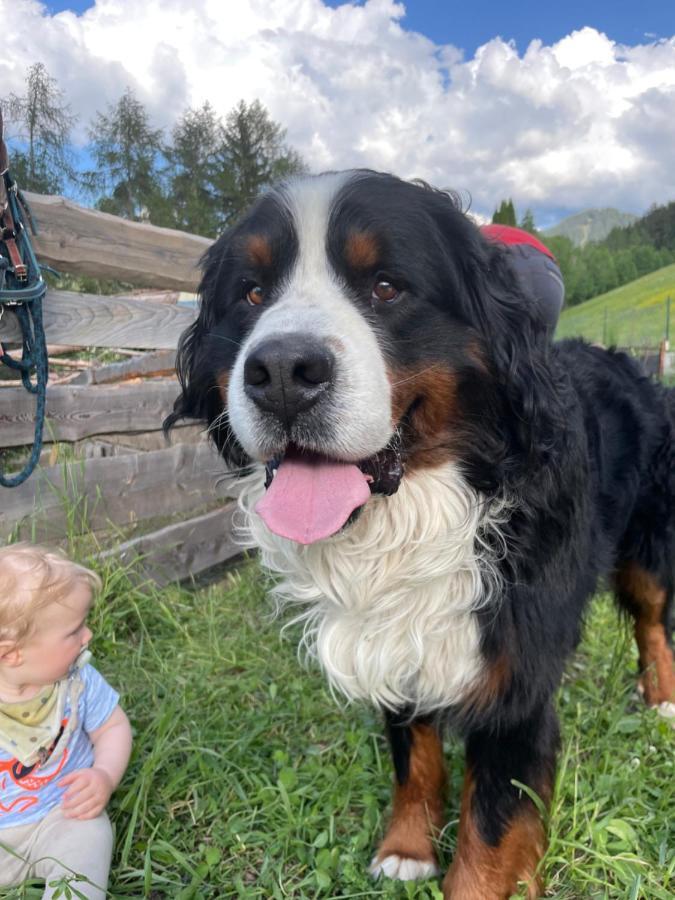 Ferienwohnung Rosengarten Am Manoetscherhof Cornedo all'Isarco Buitenkant foto